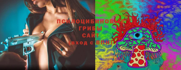 молекула духа Алексин