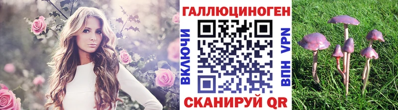 Галлюциногенные грибы MAGIC MUSHROOMS  купить наркоту  Углич 